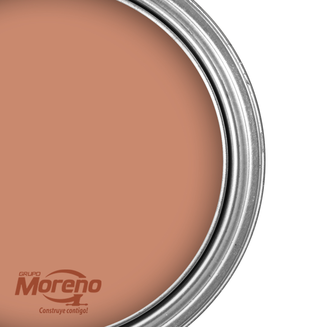Pintura Pro Látex 2 en 1 Mamey 1g