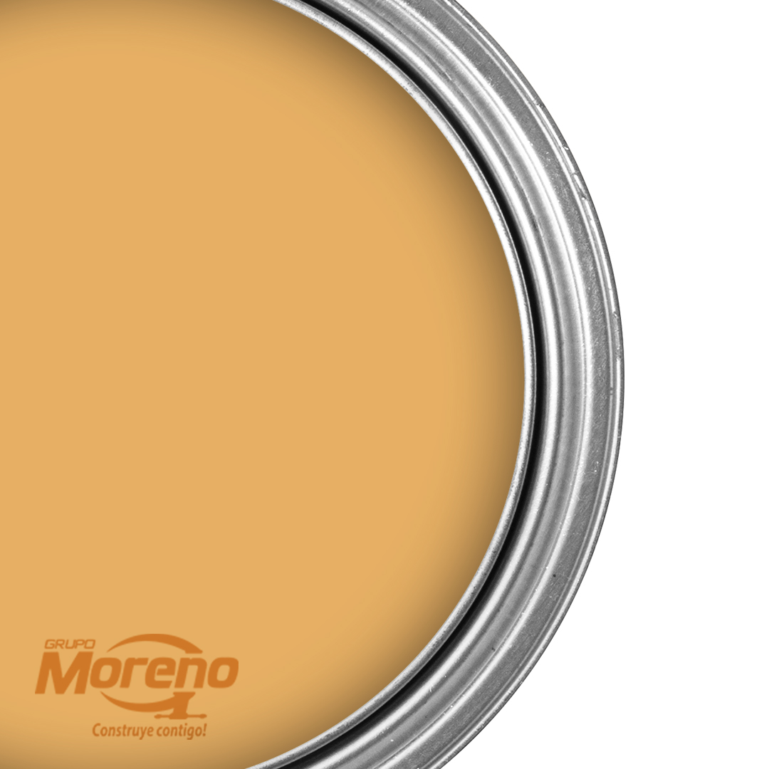 Pintura Pro Látex 2 en 1 Mango 1g